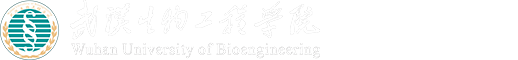 招生网